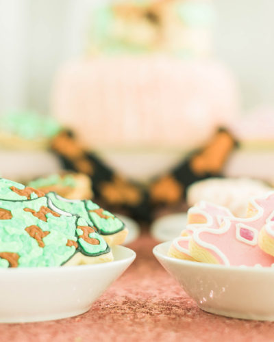 a lively affair, sarah vanderford photography, gender reveal hampton roads