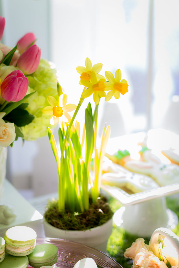 easter party, a lively affair, party planner hampton roads