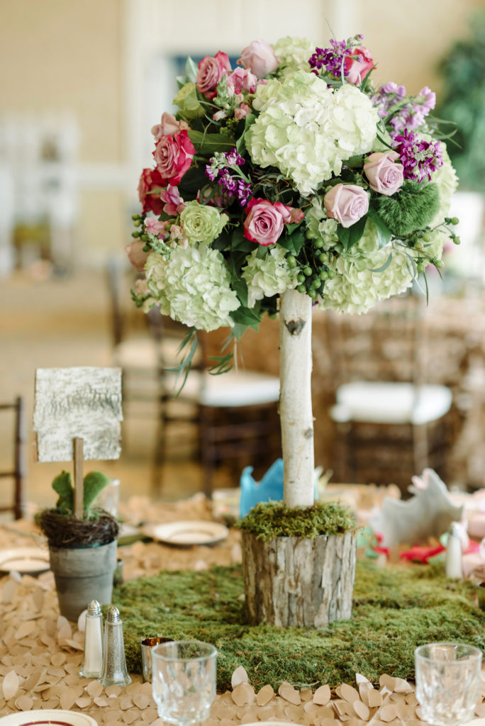 a lively affair, hampton roads first birthday