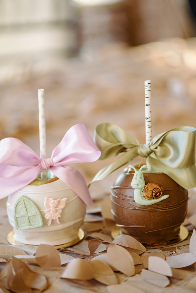 a lively affair, hampton roads first birthday